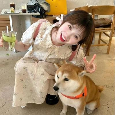 福星高照粤语
